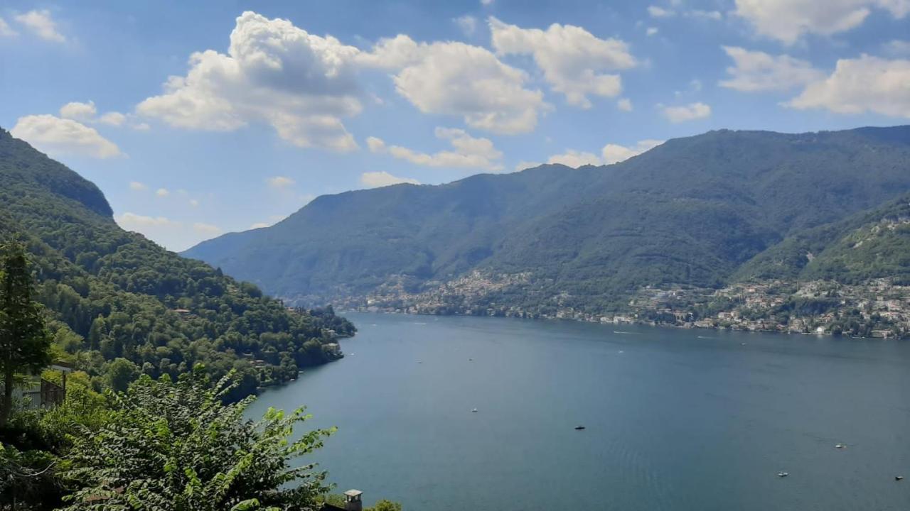 Top Lake View Faggeto Lario Dış mekan fotoğraf