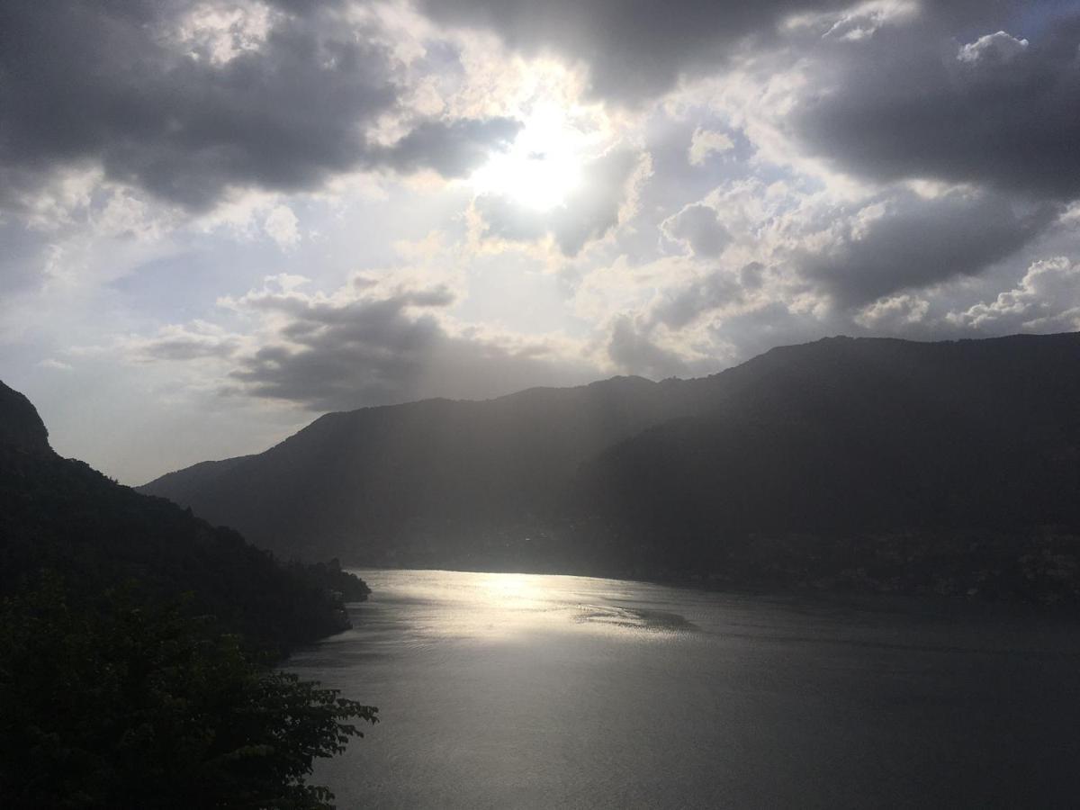 Top Lake View Faggeto Lario Dış mekan fotoğraf